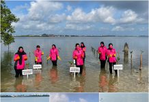 Pengurus Bhayangkari Cabang Barelang Tanam Bibit Mangrove di Pantai Marina