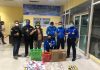 Ditpam BP Batam Amankan Binatang dan Tumbuhan Tanpa Surat Karantina
