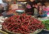 read news – Harga Cabai Merah di Tanjungpinang Tembus Rp 50 Ribu per Kilo
