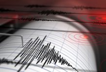 read news – Gempa Magnitudo 6,2 Guncang Pasaman Barat, Guncangan Terasa Hingga ke Dumai dan Duri