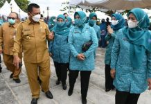 read news – Ketua Umum TP-PKK Resmikan Penyengat Jadi Pulau Digital