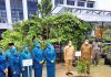 read news – Mendagri Tito Karnavian dan Ketum TP-PKK Tanam Bibit Pohon di Kebun PKK Kepri