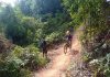 read news – Race Dimulai, Empat Atlet Nasional Jajal Track Bukit Sekopong Nongsa