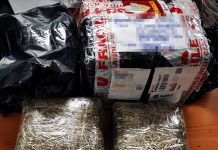 read news – BC Batam Gagalkan Pengiriman Dua Paket Ganja