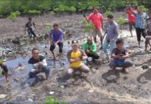 read news – Ekowisata Mangrove Terpadu di Setokok Batam, Ini Konsepnya