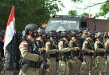 read news – Pasukan Brimobda Polda Kepri Terbang ke Papua