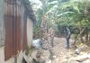 read news – Antisipasi Wabah Demam Berdarah, Warga Kampung Pisang Gelar Fogging