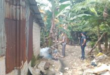 read news – Antisipasi Wabah Demam Berdarah, Warga Kampung Pisang Gelar Fogging