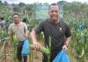 read news – Warga Nongsa Panen Jagung bersama Dandim Batam Komandan Kodim 0316 / Batam, Letnan Kolonel Inf Galih Bramantyo (memetik jagung) tengah panen jagung bersama dalam rangka Program ketahanan pangan. Acara digelar di Kelurahan Sambau Jumat (7 /10/2022) (F: muhammad amin-batamtv.com)