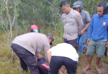read news – Heboh Warga Tak Sadarkan Diri di Hutan Dam Duriangkang Warga yang pingsan di Hutan dam Duriangkang, dibantu oleh Polsek Seibeduk, Kota Batam, Senin (31/10/2022) (Foto : muhammad amin)
