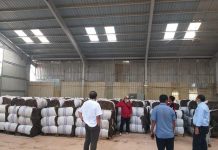 read news- Ekspor Rumput Laut Kelompok Nelayan Pospera Kepri ke China Rumput laut yang dikelola adalah rumput Laut jenis Sargassum saat ekspor perdana Senin (14/11/2022) (Foto : muhammad amin- batamtv.com)