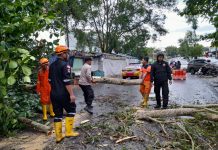 read news – Hujan Deras, Pohon Tumbang Ambruk Tutupi Jalan Raya di Km 11 Tanjungpinang Jajaran Polsek Tanjungpinang Timur saat membantu membersihkan pohon raksasa yang timbang menutupi jaan raya Selasa (15/11/2022) (Foto : dwi susilo - batamtv.com)