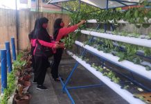 read news – Inilah Panen Kedua Sayuran Hidroponik Kebun P2L Anggota bhayangkari Polsek Bengkong mengelola tanaman sayuran secara hidroponik. Seperti di Bengkong, penanaman dilakukan oleh pengurus Bhayangkari Ranting Bengkong Cabang Kota Barelang sukses panen kedua sayuran hidroponik di kebun Pekarangan Pangan Lestari (P2L) Selasa (27/12/2022). (foto : abyaqsa ramadan - batamtv.com)