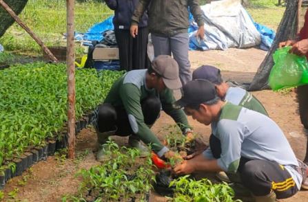 Para anggota kelompok tani yang tengah mempersiapkan bibit cabai gratis untuk masyarakat ini dilakukan oleh Dinas Ketahanan Pangan, Pertanian, dan Kesehatan Hewan (DPK2KH). Setidaknya ada 30 ribu bibit cabai telah disalurkan DPK2KH di dua lokasi terpisah di Kabupaten Bintan dan Kota Tanjungpinang, Senin (28/11/2022) (Foto : Dwi Susilo - batamtv.com) Para anggota kelompok tani yang tengah mempersiapkan bibit cabai gratis untuk masyarakat ini dilakukan oleh Dinas Ketahanan Pangan, Pertanian, dan Kesehatan Hewan (DPK2KH). Setidaknya ada 30 ribu bibit cabai telah disalurkan DPK2KH di dua lokasi terpisah di Kabupaten Bintan dan Kota Tanjungpinang, Senin (28/11/2022) (Foto : Dwi Susilo - batamtv.com)