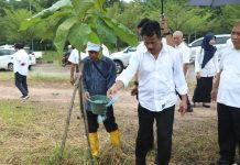 read news – 2023 Pelebaran Jalan Dimulai, Kepala BP Batam Tinjau Pertumbuhan Pohon Jati Emas