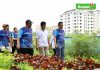 read news – Kepala BP Batam Ajak Warga Jaga Kekompakan Demi Batam Baru