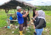 read news – Tanaman Sorgum akan Dikembangkan di Bintan melalui Pendampingan Fasilitator Tim OVOC Bintan, Rahmat Senjaya (baju biru) saat melakukan pendampingan . Dia mengatakan ada dua kelompok itu yakni, Perkumpulan Tani Milenial Kreatif, Desa Lancang Kuning, Kecamatan Bintan Utara dan Kelompok Tani Ratun Jaya Topas, Desa Toapaya Asri, Kilometer 24 yang dilakukan ovservasi tanaman sorgum. Dari penelitian di lapangan, pihaknya akan membuat panduan Standar Operasional Prosedur (SOP), tentang sistem penanaman sorgum. Sehingga, target pendampingan OVOC di Bintan tercapai dengan optimal. ( foto : dwi susilo - batamtv.com)