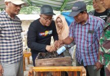 read news – Nikmati Wisata Baru Eko Wisata Madu Klanceng Trigona Kepala Dinas Pariwisata Kota Batam, Ardiwinata (kaus hitam) saat melakukan panen madu klanceng atau trigona di Kampung Tembesi Bengkel, kelurahan Kibing kecamatan Batu Aji, Batam, Minggu (05/03/2023). (Foto : muhammad amin - batamtv.com)