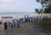 read news – Lahan Kosong di Kampung Terih Nongsa Ditanami Mangrove Personil Lanud Hang Nadim Batam melakukan penanaman mangrove di Pantai Terih Nongsa Kota Batam, Kamis (17/3/2023) (Foto : muhammad amin - batamtv.com)