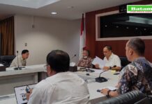 read news – Bahas Percepatan Investasi Pulau Rempang, BP Batam Kaji Rencana Pengembangan