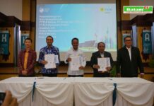 read news – Teken MoU, PLN Batam Siap Salurkan Listrik 42 MWp dari Sumber EBT