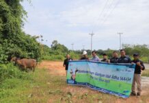 PT Timah Tbk Distribusikan Sepuluh Ekor Hewan Kurban ke Masyarakat di Kundur Barat Hewan kurban dari PT Timah disalurkan ke Surau Darun Na’im Darat Mata Air Kelurahan Sawang yang diterima pengurus Surau Umar Sa’ad. (Foto : abdi perdana - batamtv.com)