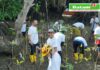 read news – Peringati Hari Lingkungan Hidup Sedunia, PLN Batam Tanam Bibit Mangrove dan Pungut Sampah di Desa Wisata Kampung Terih