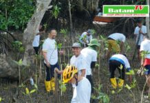 read news – Peringati Hari Lingkungan Hidup Sedunia, PLN Batam Tanam Bibit Mangrove dan Pungut Sampah di Desa Wisata Kampung Terih