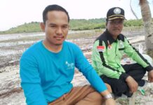 read news – PLH K Kepri Bakal Tanam lagi Sepuluh Ribu Mangrove di Batam Ketua DPP PLH K Kepri, Suardi (kaus biru), mengajak semua pihak yang peduli akan kerusakan mangrove untuk sama sama menanami kembali mangrove di titik yang rusak di Batam . (Foto : muhammad amin - batamtv.com)