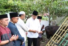 read news – 47 Kambing dan Satu Sapi Diserahkan Pemko Tanjungpinang ke Masjid Sekretaris Daerah Kota Tanjungpinang Zuhidayat (paling kanan) melakukan penyerahan hewan kurban secara simbolis kepada pengurus Masjid Agung Al Hikmah, Rabu (28/6/2023). (Foto : dwi susilo- batamtv.com)