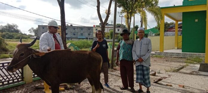 PWI Karimun menyerahkan satu ekor sapi kurban. Sapi itu  sudah diserahkan kepada pengurus kurban di masjid Jami Nurul Huda Telaga Tuju. (Foto : abdi perdana - batamtv.com)