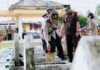 read news – Wakapolres Ziarah ke TMP Tanjungbatu Kundur Wakil Kapolres Karimun, Kompol Petra. C. K. Tumengkol, S.I.K melaksanakan kegiatan ziarah makam di makam pahlawan Tanjung Batu Kecamatan Kundur, Selasa (27/06/2023). (Foto : abdi perdana - batamtv,com)