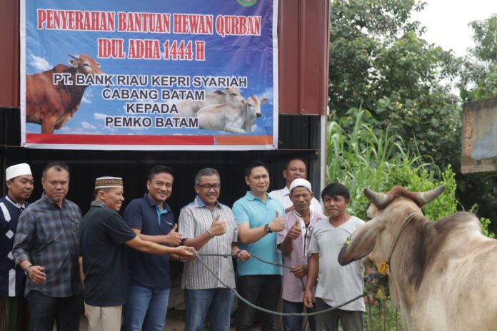 Sekretaris Daerah Kota Batam, Jefridin, M.Pd. menerima satu ekor hewan kurban berupa sapi dari Bank Riau Kepri Syariah Cabang Batam, yang kemudian diserahkan kepada Masjid Hidayatul ‘Ulum Kavling Bukit Kambodja Batuaji, pada Rabu (28/6/2023). (Foto : abyaqsa ramadan - batamtv,com)