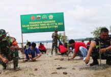read news – 500 Mangrove Ditanam di Pesisira Pantai Pulau Baru Karimun Penanaman mangrove digelar oleh Satgas TMMD ke-117 Kodim 0317/TBK bersama mahasiswa, pelajar dan masyarakat di pesisir Pantai Pulau Baru, Sabtu (15/07) sebanyak 500 pohon dalam rangka TMMD ke-117 TA. 2023. (Foto : abdi perdana - batamtv.com)