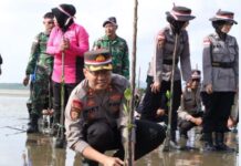 read news – Ribuan Pohon Mangrove Kembali Ditanam di Pesisir Bintan Kapolres Bintan AKBP Riky Iswoyo melaksanakan penanaman ribuan bibit Mangrove tepatnya di pantai Lahoa Kecamatan Gunung Kijang bersama Bupati Bintan Robby Kurniawan Rabu (23/8/2023). (Foto : abdi perdana - batamtv.com)