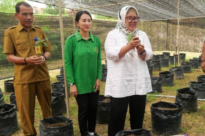 Wagub Kepri Marlin Agustina (baju putih) memberikan penegasan kepada para perempuan bahwa ibu rumah tangga bisa membantu pemanfaatan perkarangan rumah, seperti untuk menanam cabe dan lainnya ikut menjadi bagian menekan inflasi. (Foto : muhammad amin - batamtv.com)