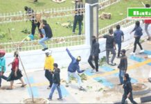 read news – BP Batam Sayangkan Aksi Damai Berakhir Ricuh Serta Timbulkan Korban Pegawai BP Batam Dan Aparat Kepolisian