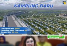 read news – Rempang Eco City Bertabur Aneka Keuntungan
