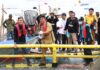 read news – Roby Kurniawan Sebut Sektor Perikanan Budidaya di Bintan Harus Terus Dikembangkan Bupati Bintan Roby Kurniawan (baju cokelat) saat memanen ikan di Bintan . (Foto : abdi perdana batamtv.com)