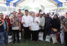 read news – Penyaluran Beras jadi Alat Bantu Turunkan Inflasi Walikota Batam HM Rudi dan Wakil Gubernur Kepri, Marlin Agustina, (tengah) menyerahkan bantuan pangan Cadangan Beras Pemerintah (CBP) untuk masyarakat Batam, Kamis (9/11/2023).(Foto : muhammad amin - batamtv.com)
