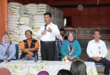 read news – Wali Kota Batam, HM Rudi Serahkan Bantuan Pangan Cadangan Beras Pemerintah Bantuan beras langsung diserahkan Wali Kota Batam, Muhammad Rudi, menyerahkan bantuan pangan Cadangan Beras Pemerintah (CBP) untuk masyarakat Batam, Jumat (10/11/2023).(Foto : abyaqsa ramadna - batamtv.com)