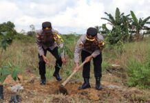 read news – Penanaman Pohon Buah Dilakukan di Lingkungan Polres Bintan Penanaman bibit pohon yang dilaksanakan hari ini dalam rangka program penanamam sepuluh juta pohon bersama Polri Polres Bintan menanam sebanyak 125 bibit pohon buah produkti yang ditanam di lingkungan mako Polres Bintan. (Foto : Abdi perdana - batamtv.com)_