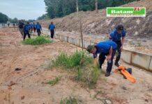read news – Ditpam BP Batam Lakukan Pemupukan Pohon Jati Emas