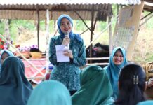 read news – Ketua TP PKK Bintan Sambangi Desa Dasa Wisma Nila Ketua TP PKK Kabupaten Bintan , Hafiza Rahmadani berkunjung ke Dasa Wisma Nila, Selasa (30/01) di Desa Sebong Pereh. (Foto : abdi perdana - batamtv.com)
