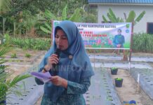 read news – Natuna Aktifkan Gerakan Tanam Cabai Ketua 2 TP PKK Kabupaten Natuna Khadijah Rodhial Huda menyampaikan bahwa kegiatan Gerakan Tanam Cabai Serentak se-Indonesia dilakukan serentak oleh TP PKK Pusat. (Foto : abdi perdana - batamtv,com)