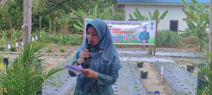Ketua 2 TP PKK Kabupaten Natuna Khadijah Rodhial Huda menyampaikan bahwa kegiatan Gerakan Tanam Cabai Serentak se-Indonesia dilakukan serentak oleh TP PKK Pusat. (Foto : abdi perdana - batamtv,com)