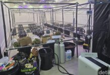 Polisi Bongkar Lab Narkoba Rahasia WN Rusia di Bali