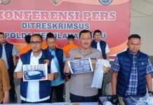 Polisi Gagalkan Penyelundupan Ribuan Benih Lobster dan Anak Buaya di Batam, 3 Pelaku Ditangkap