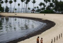 Singapura Berupaya Keras Bersihkan Pantai dari Tumpahan Minyak 400 Ton