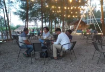 Level Up Caffee and Floating Cafe Hadirkan dengan Konsep Hutan Pinus